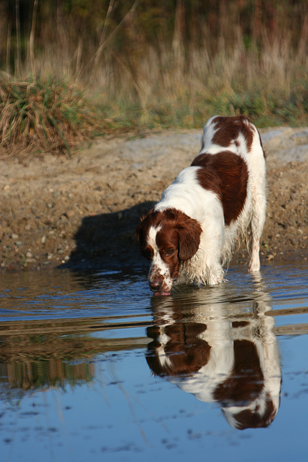 Spieglein, Spieglein...