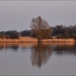 Spieglein, Spieglein