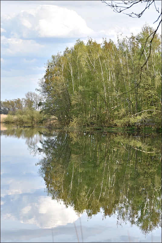 Spieglein, Spieglein