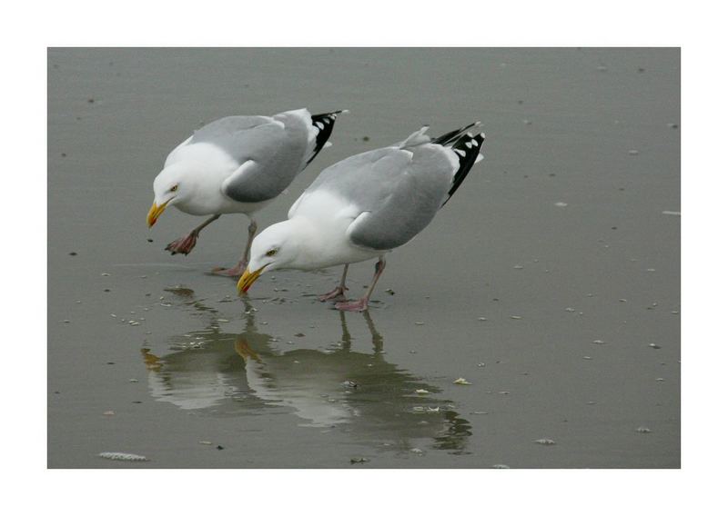 spieglein, spieglein hier am strand