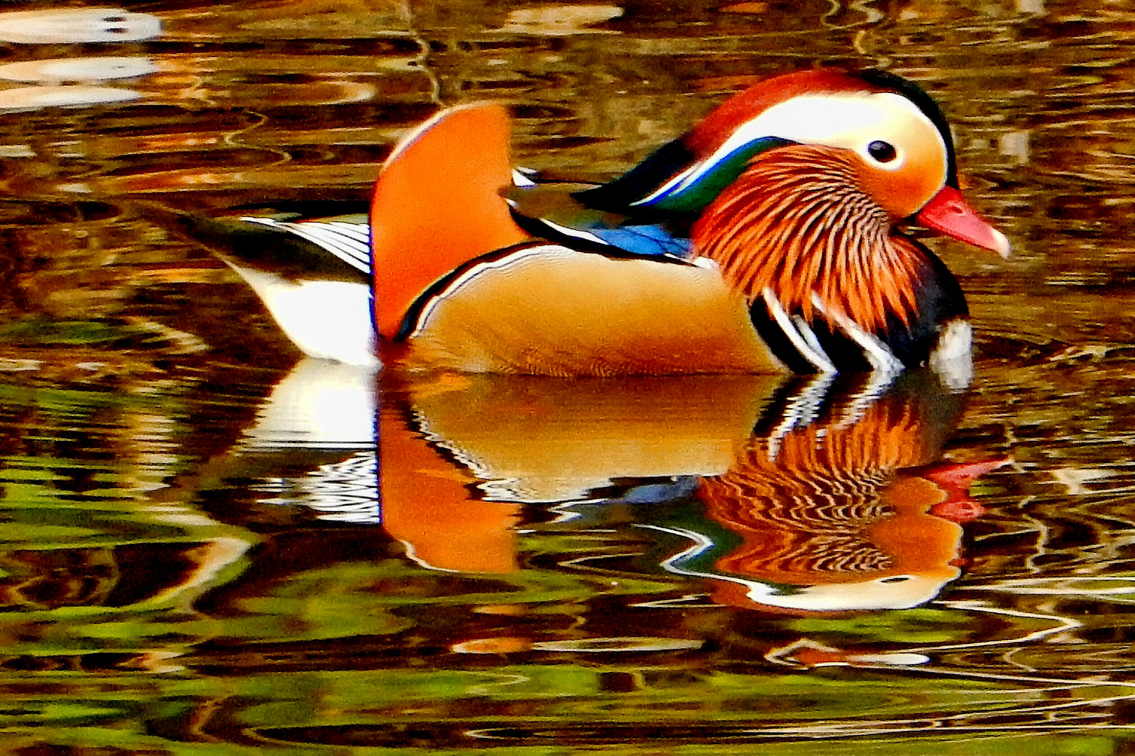 spieglein spieglein im wasser, wer ist schöner und nasser