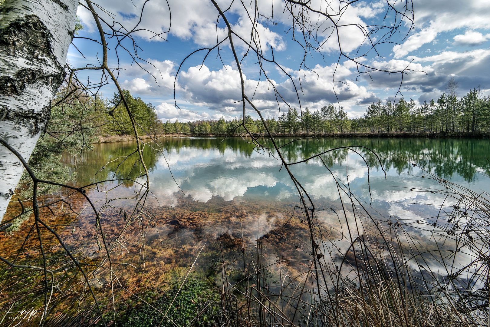 Spieglein Spieglein in der Natur