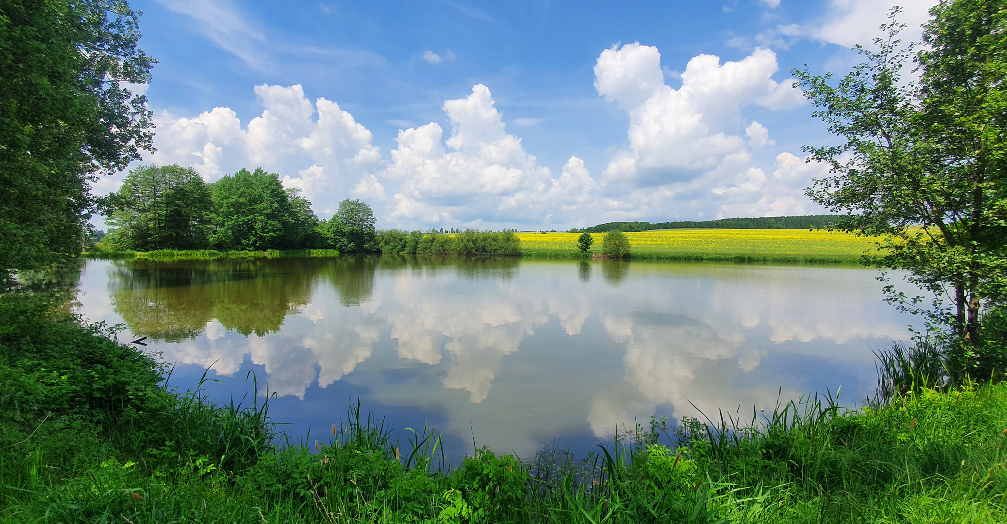 Spieglein, Spieglein in der "See" 