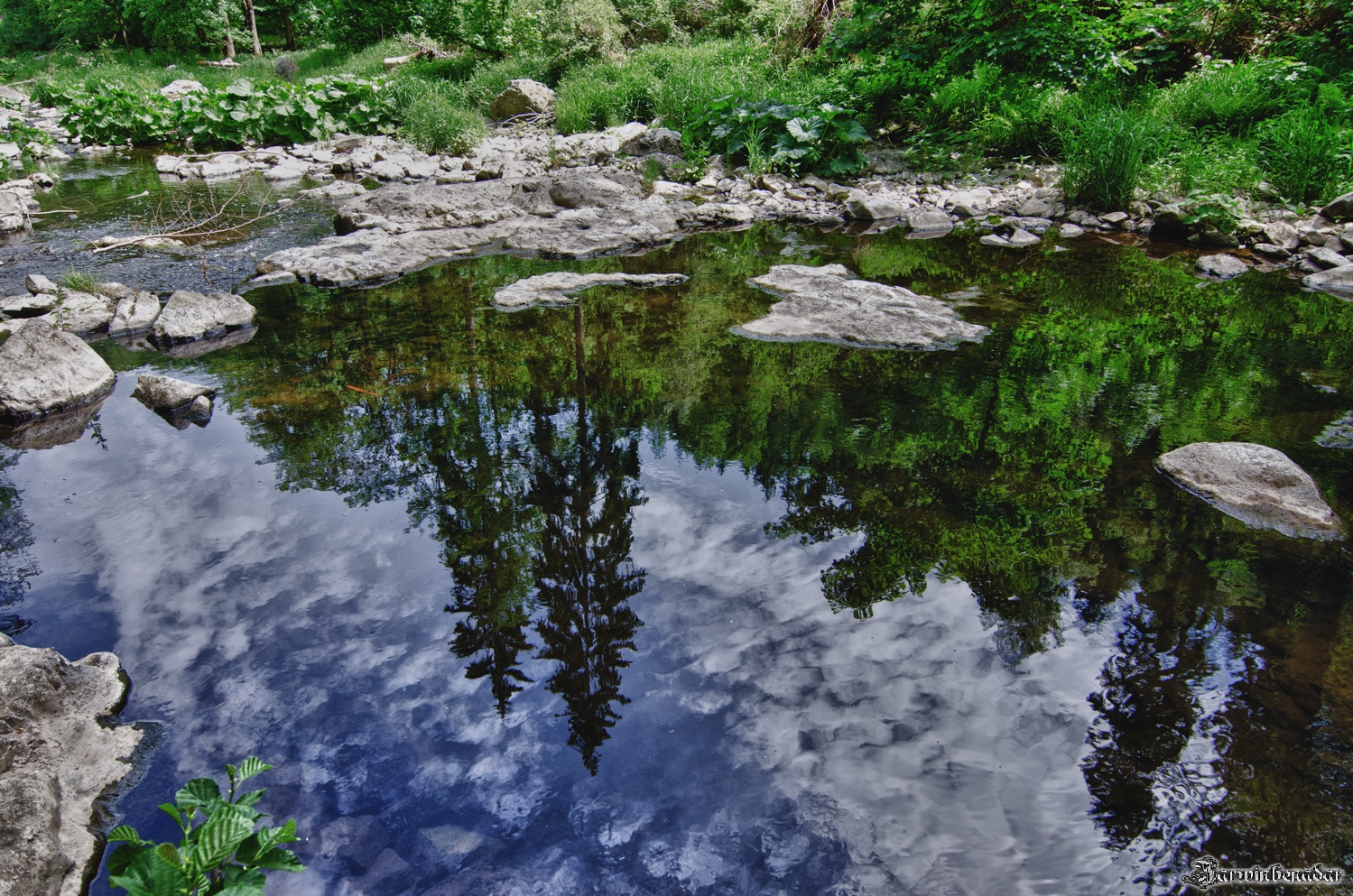 Spieglein, Spieglein... ist die NATUR nicht schön?