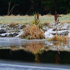 Spieglein, Spieglein ruft der Teich...