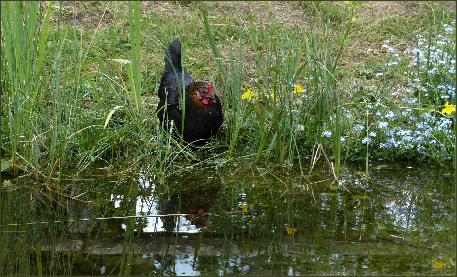 "Spieglein, -Spieglein..., sag mir an :