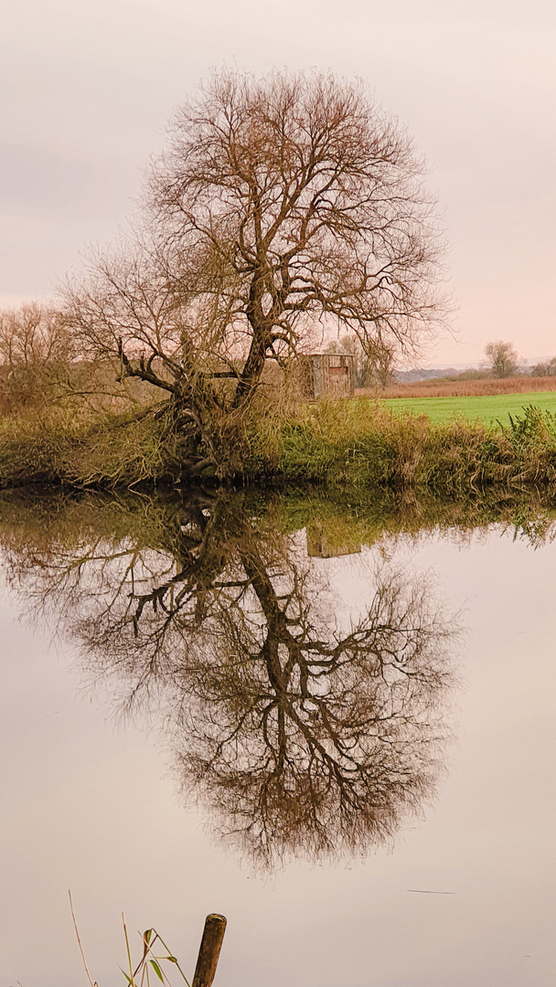 Spieglein, Spieglein unten im Fluss.............