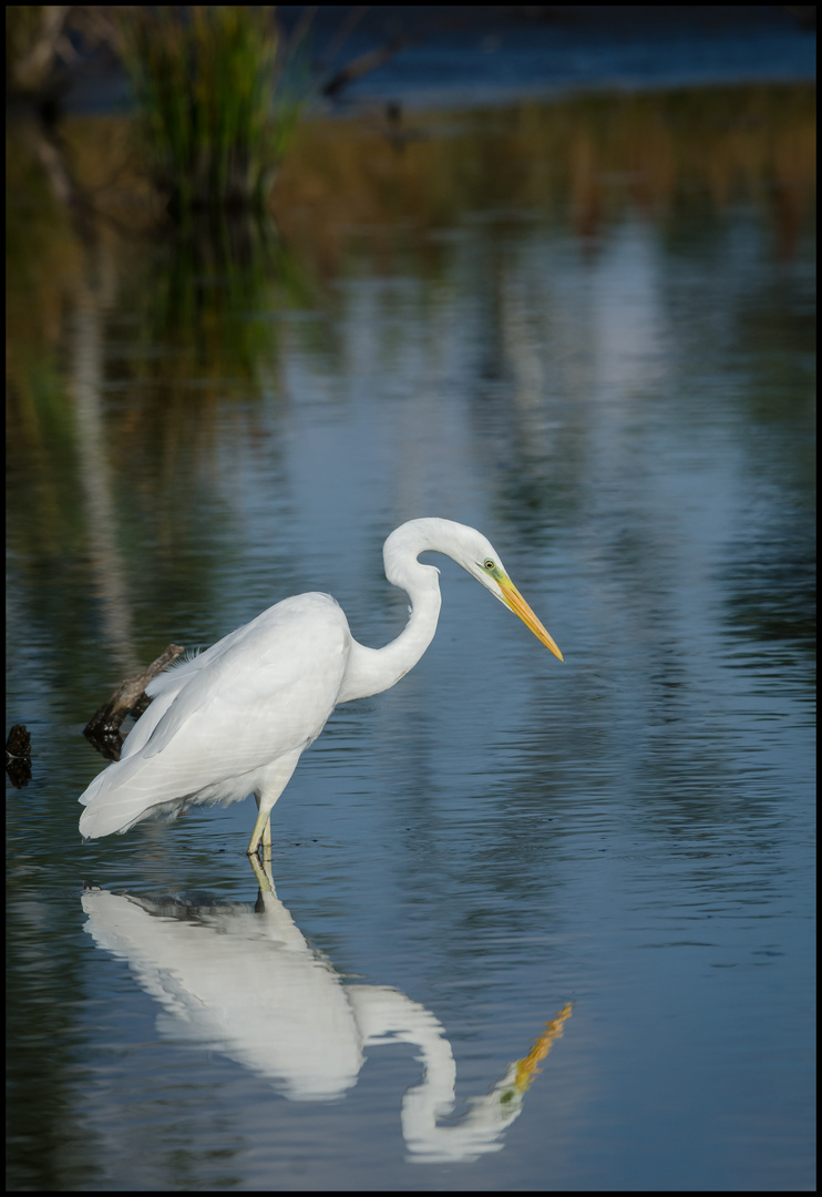 Spieglein Spieglein wer ist der schönste...