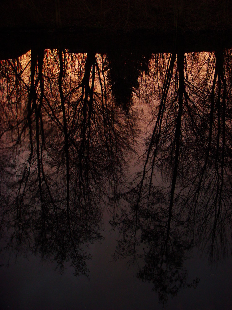 spieglein spielglein im Teich