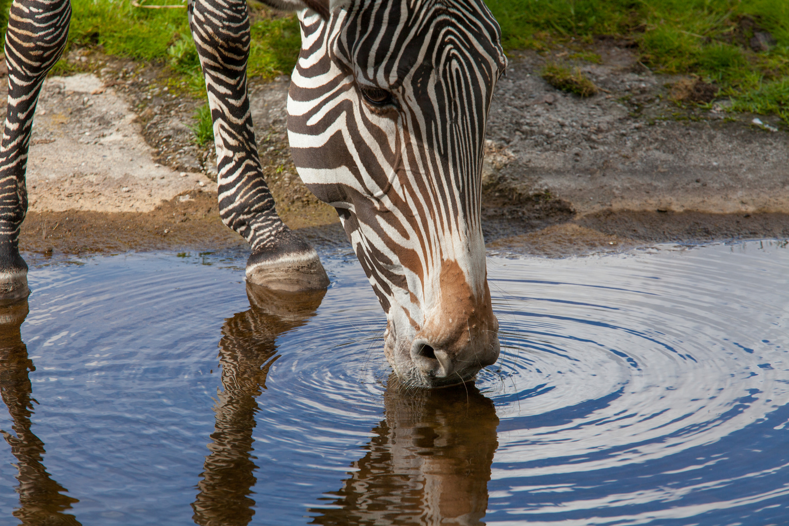 Spieglein___Dienstag ist Spiegeltag