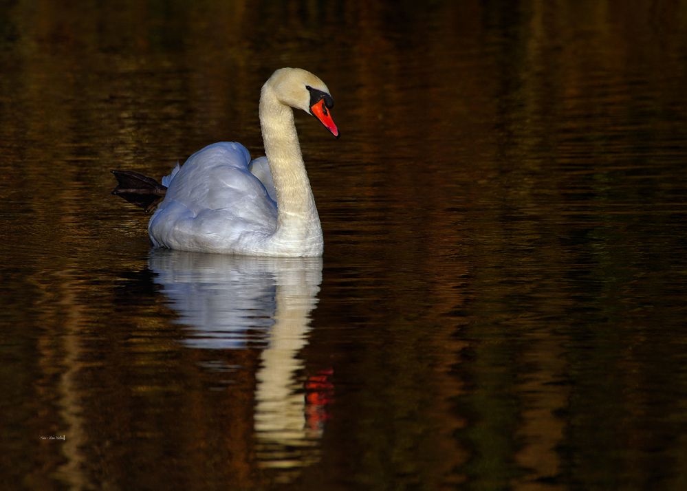 Spieglein,Spieglein