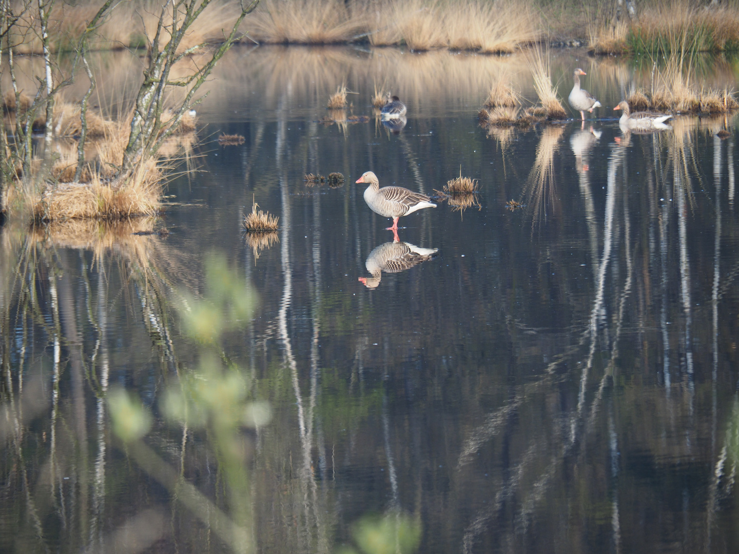 Spieglein,Spieglein......