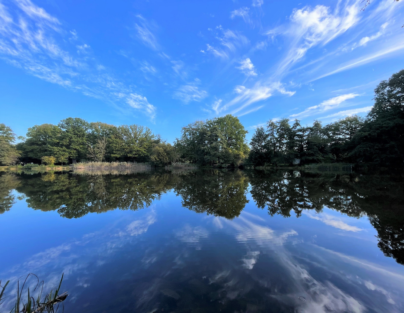 Spieglung Anna Teich