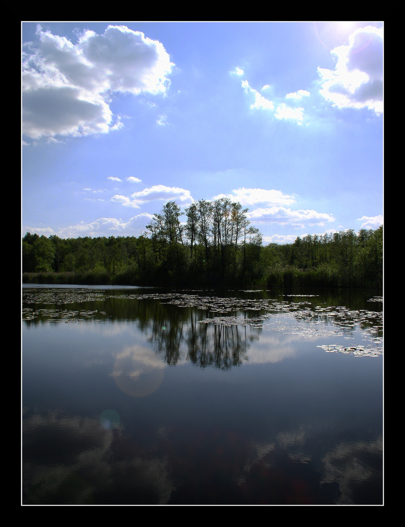 Spieglung im See