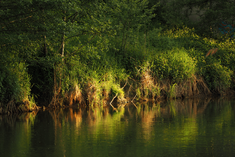 Spieglung in der Glonn