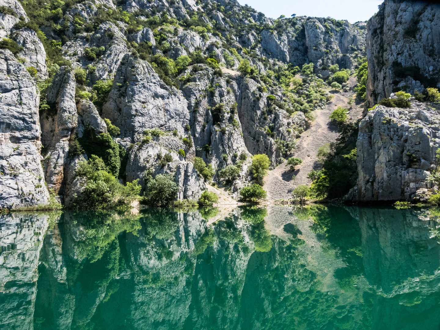 Spieglung in grün...