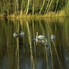 Spieglungen im Wasser und Eis