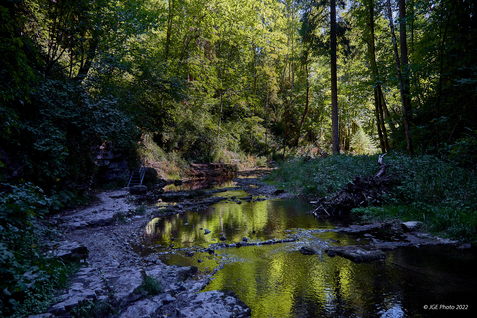 Spieglungen in der Gaugachschlucht