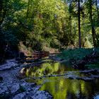 Spieglungen in der Gaugachschlucht