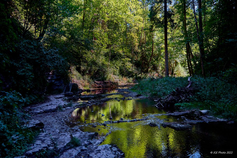 Spieglungen in der Gaugachschlucht