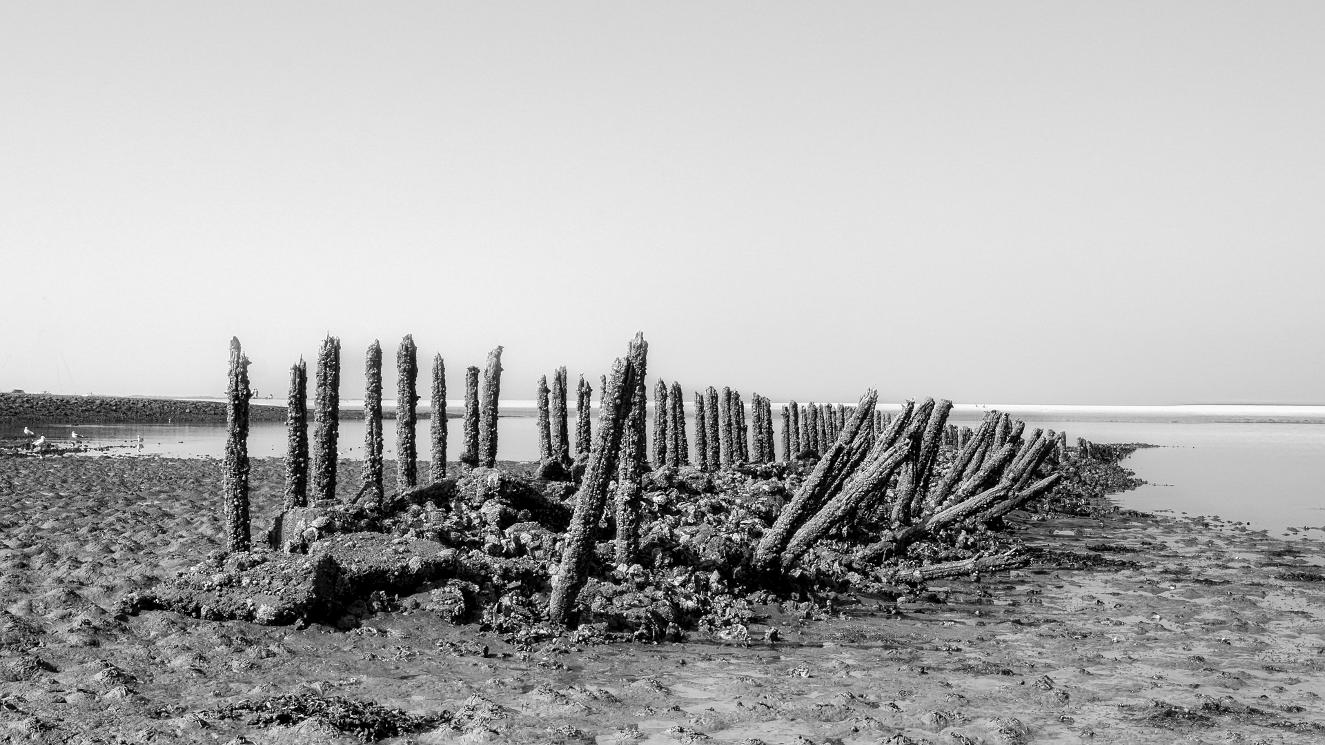 Spiekeroog am Weststrand