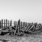 Spiekeroog am Weststrand