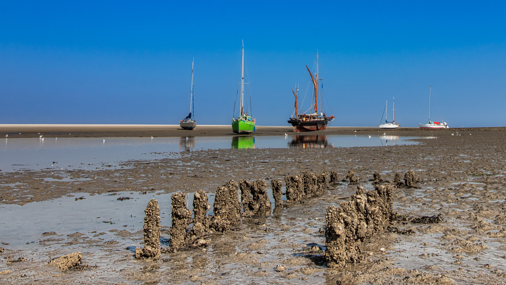 Spiekeroog am Weststrand