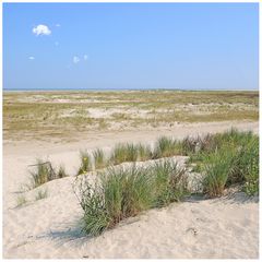 Spiekeroog - Dünenlandschaft