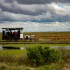 Spiekeroog, Ostfriesland