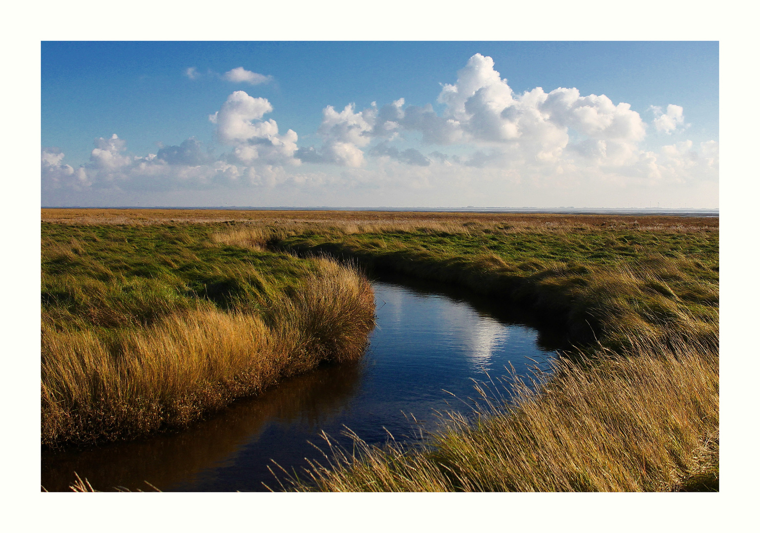 Spiekeroog Priel in den Salzwiesen