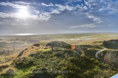 Spiekerooger Dünenlandschaft