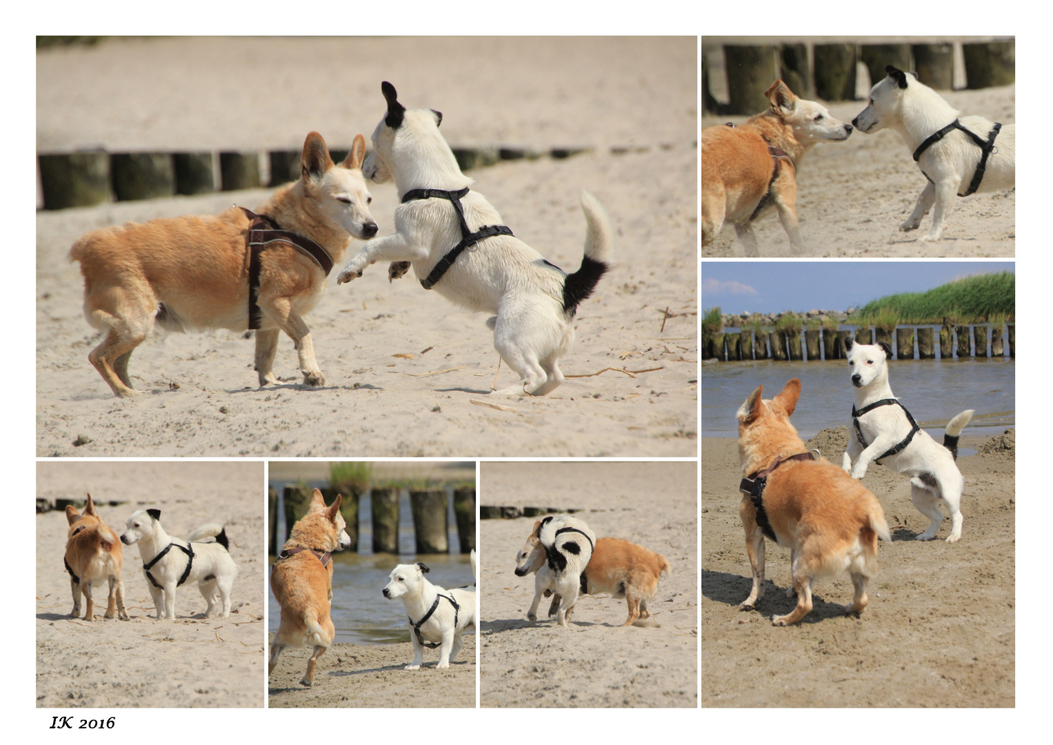 Spiel am Strand 