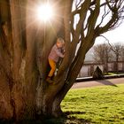 Spiel auf dem Baum