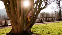 Spiel auf dem Baum