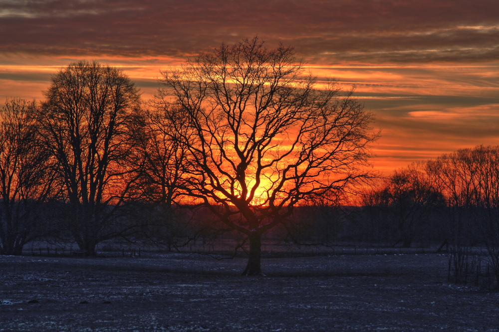 Spiel der Sonne