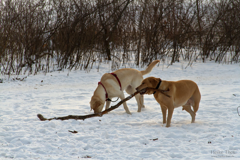 Spiel im Park