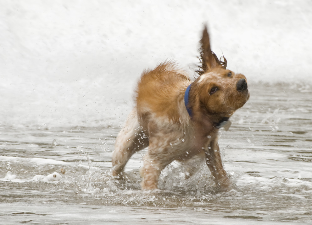 Spiel im Wasser