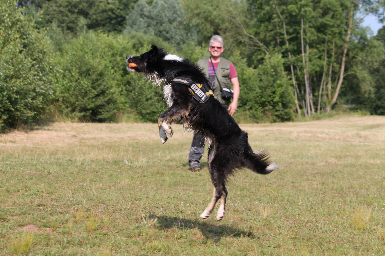 Spiel mit dem Hund 5