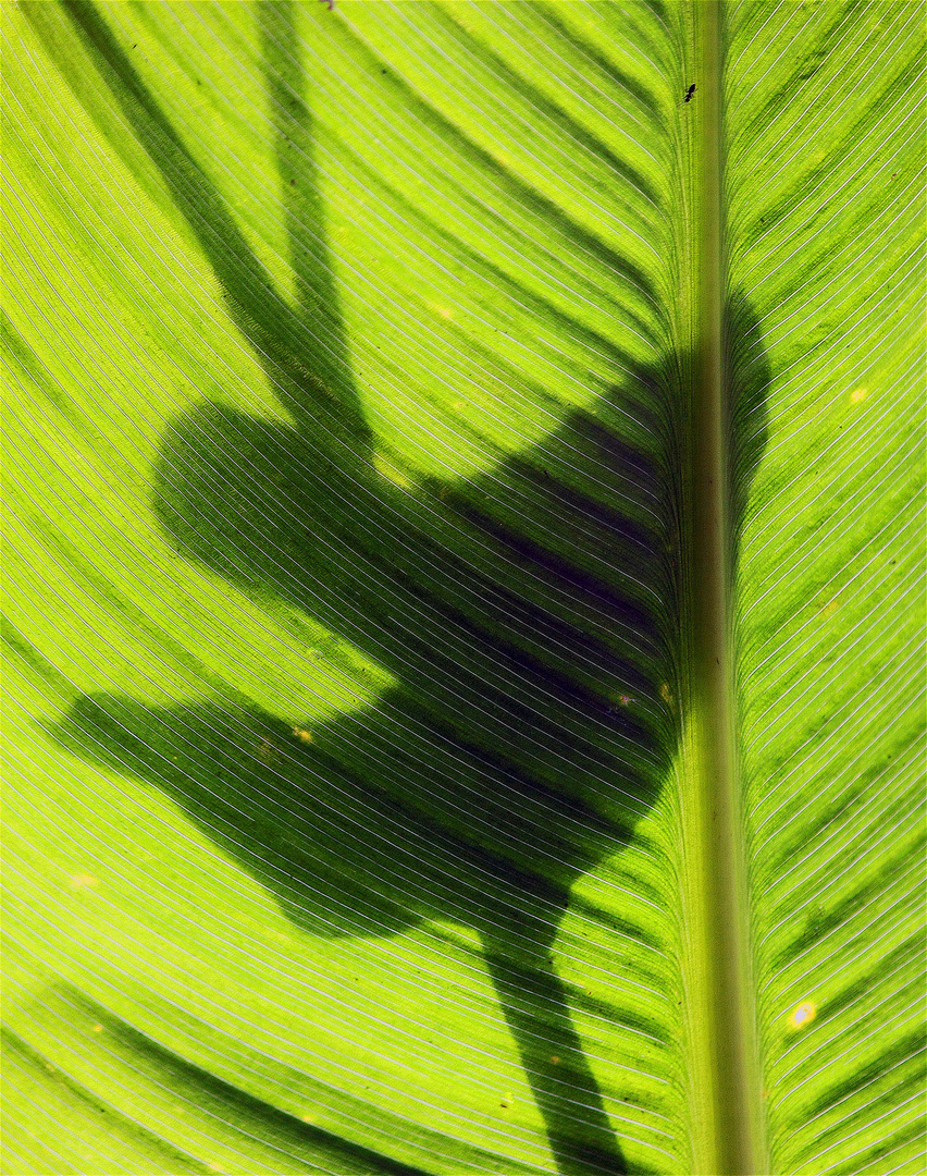 Spiel mit dem Licht