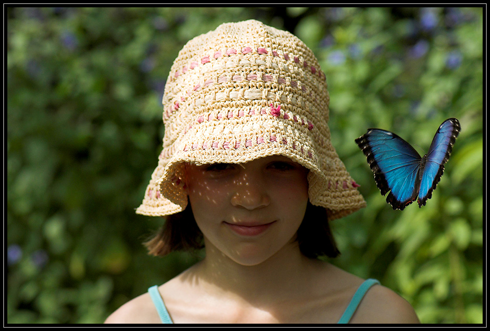 Spiel mit dem Schmetterling