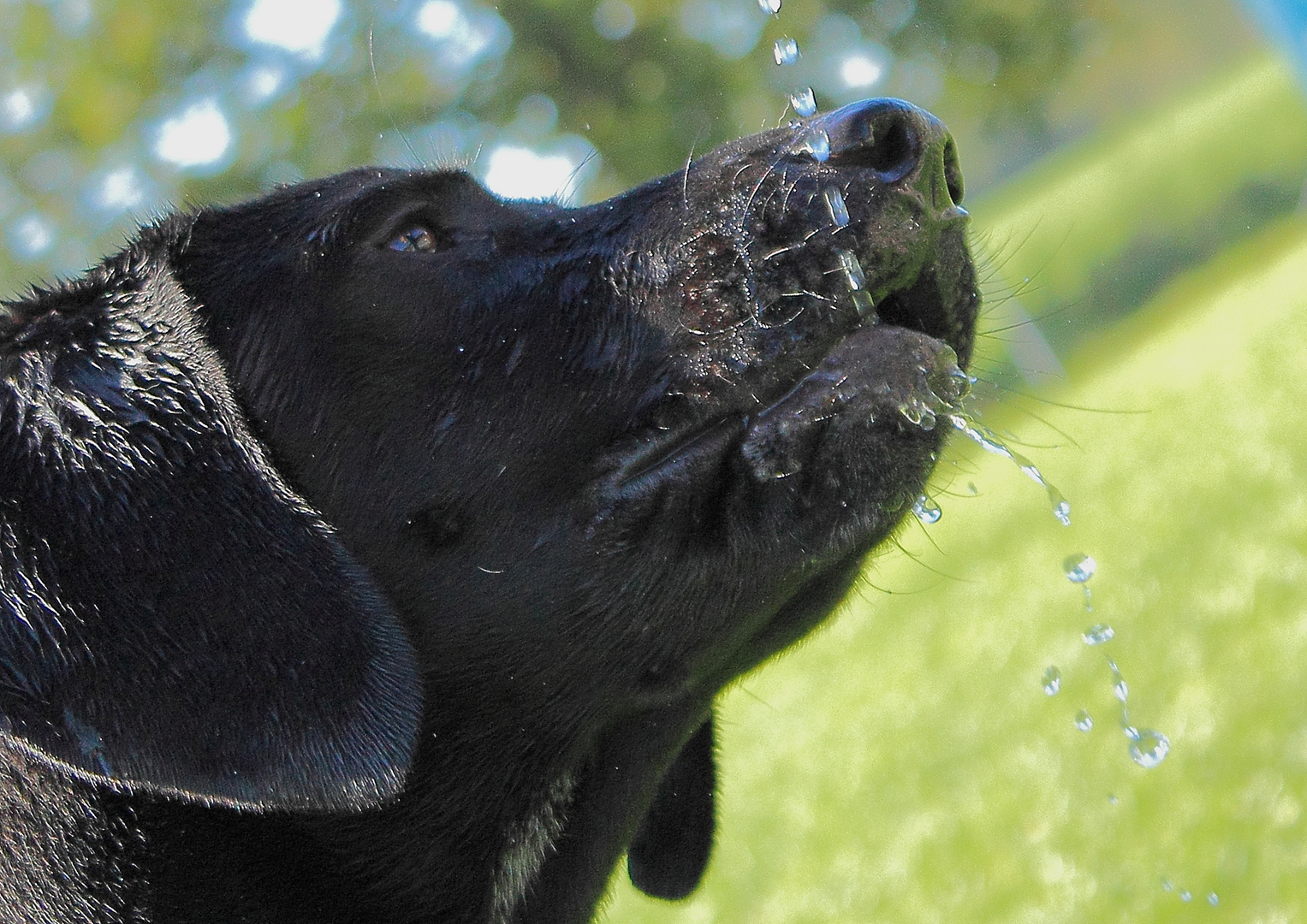 Spiel mit dem Wasserstrahl..