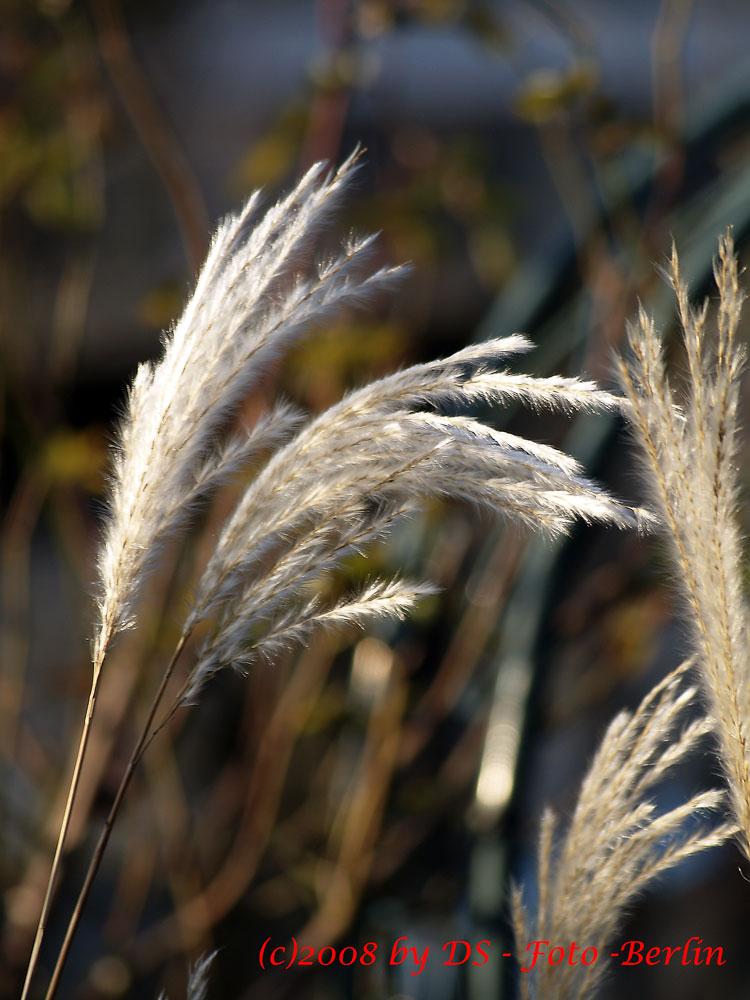 Spiel mit dem Wind