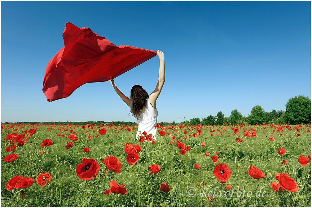 "Spiel mit dem Wind" - Junge Frau in weißem Sommerkleid mit wehendem rotem Tuch in Mohnfeld