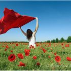 "Spiel mit dem Wind" - Junge Frau in weißem Sommerkleid mit wehendem rotem Tuch in Mohnfeld
