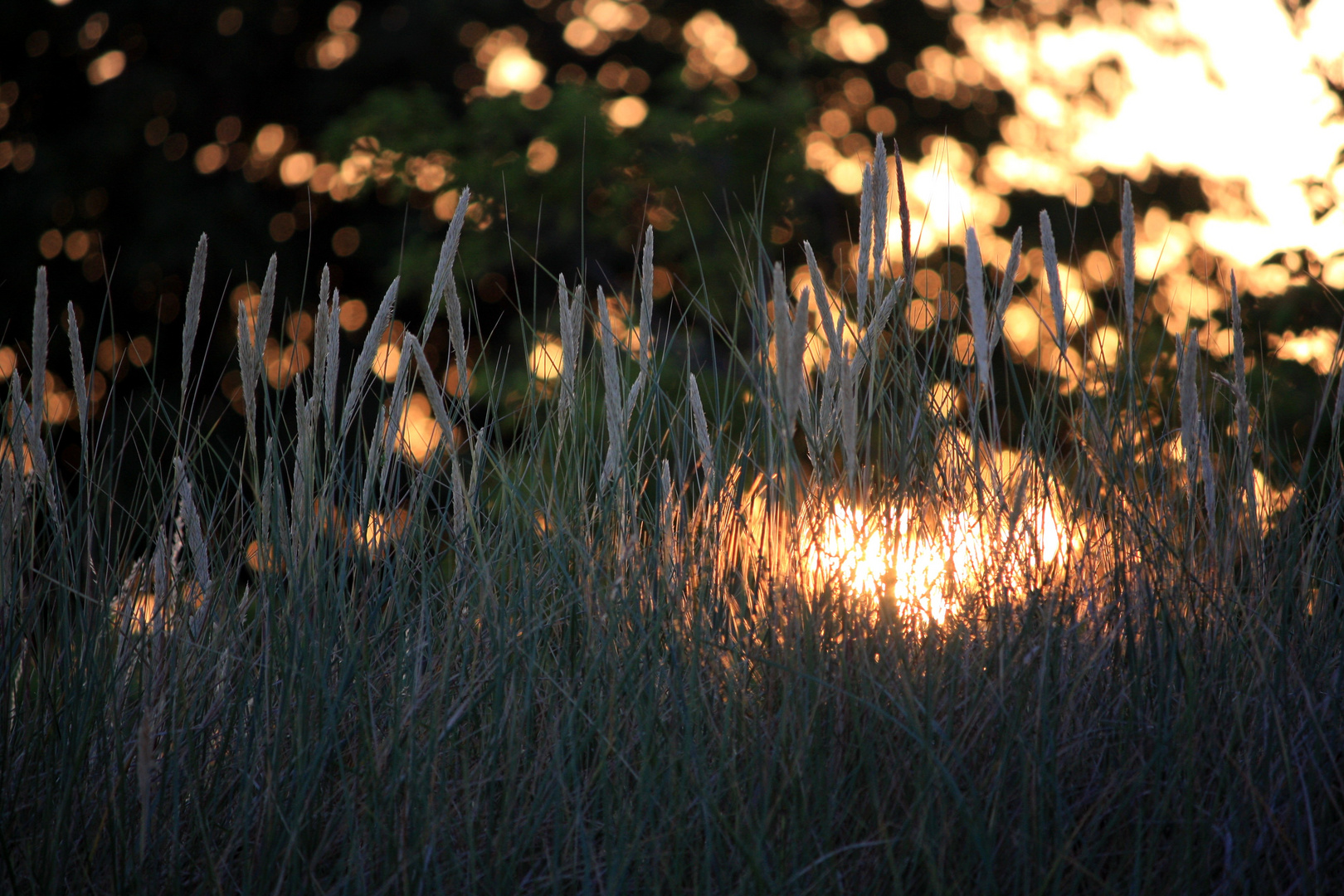 Spiel mit der Sonne