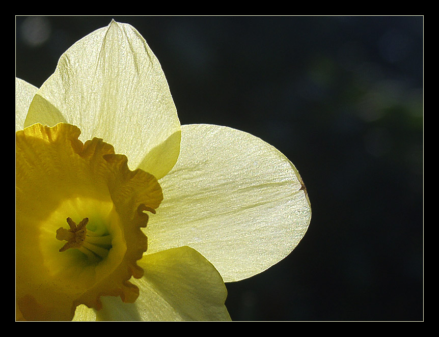 Spiel mit der Sonne