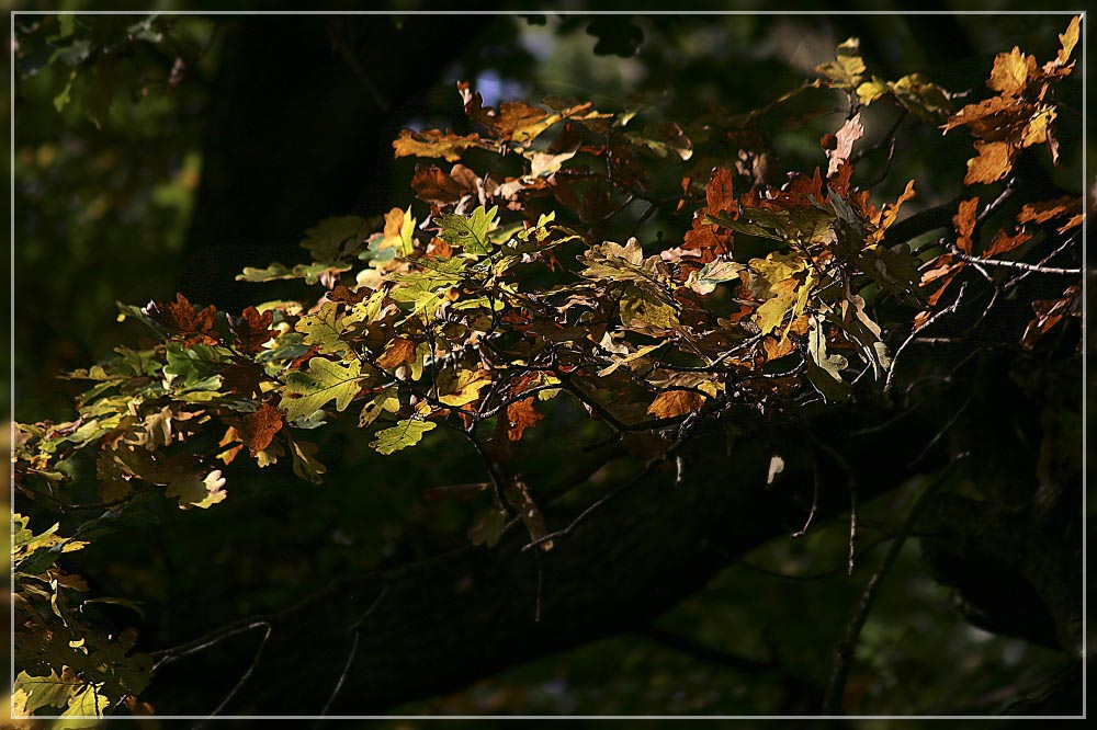 Spiel mit Licht und Farbe