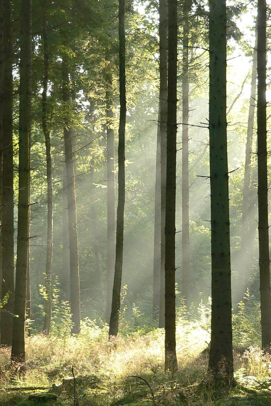 Spiel mit Licht und Schatten