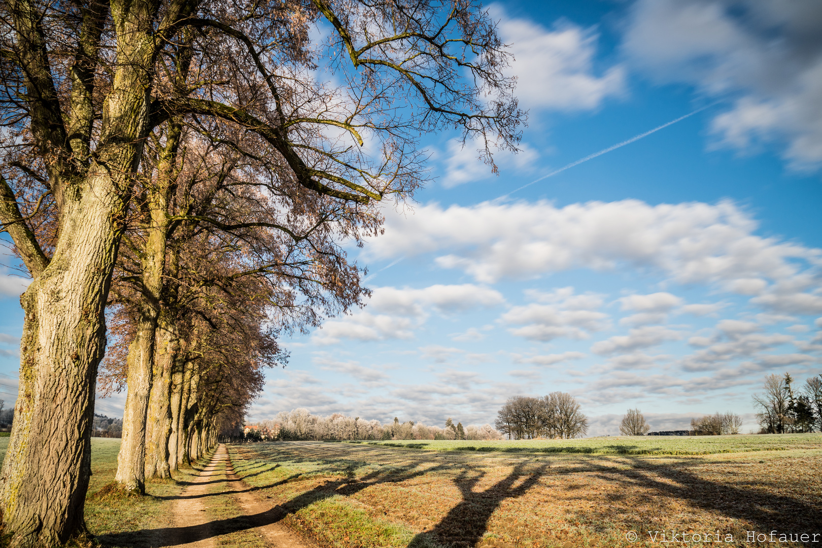 Spiel mit Licht und Schatten