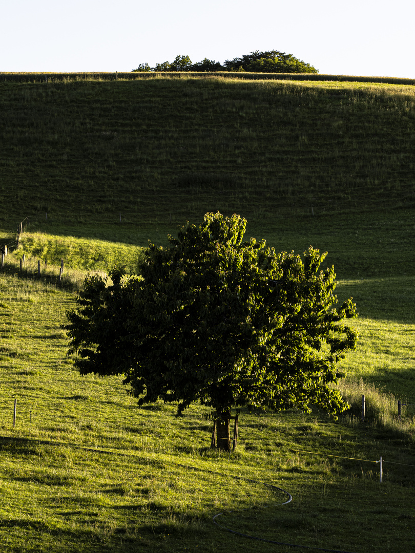 Spiel mit Licht und Schatten. 